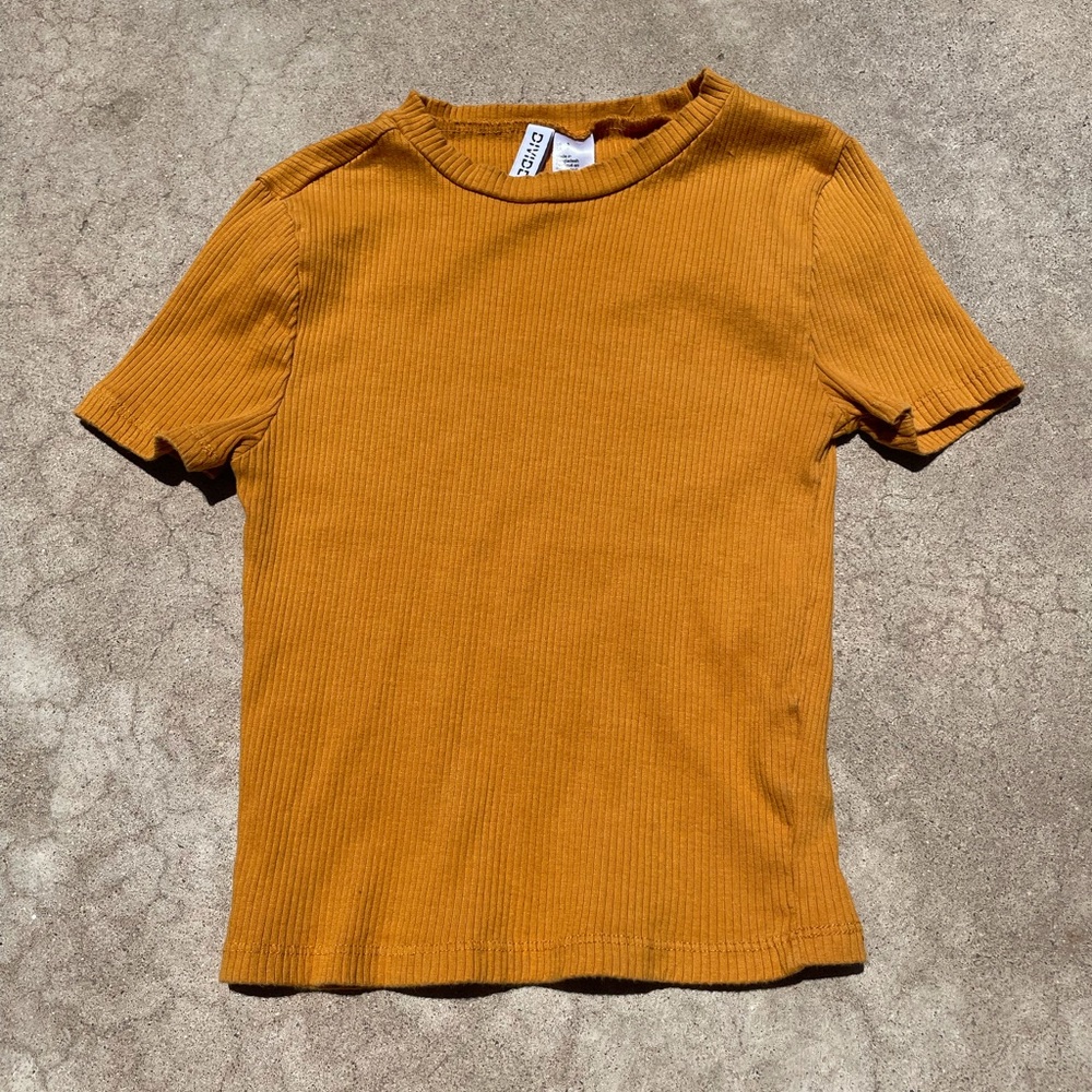 H&M Divided Crop Top